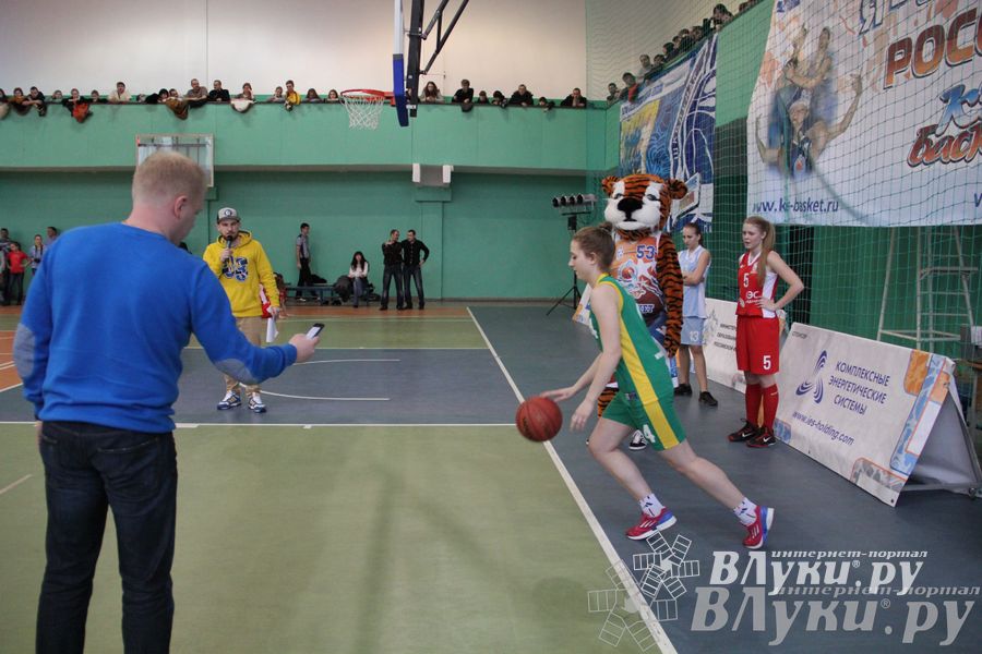 Чемпионат ШБЛ «КЭС-БАСКЕТ» сезона 2013-2014 гг. Псковской области