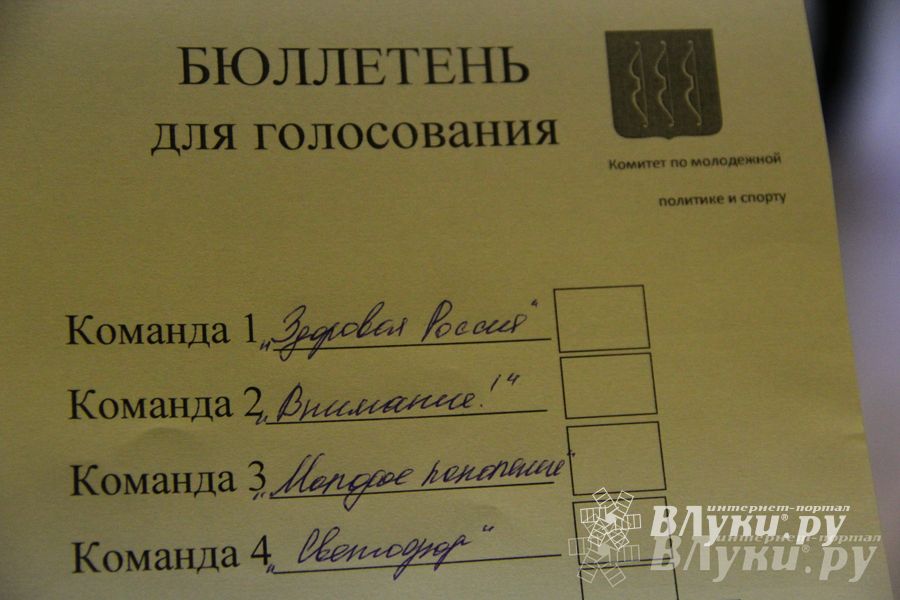 В Великих Луках прошла игра «Молодой политик» (фото)