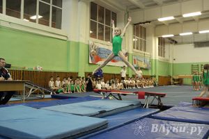 В Великих Луках состоялось Первенство по командной гимнастике (фото)