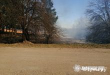 В Псковской области ожидается высокая пожарная опасность