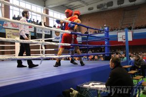 16-й Международный турнир по боксу (фото)