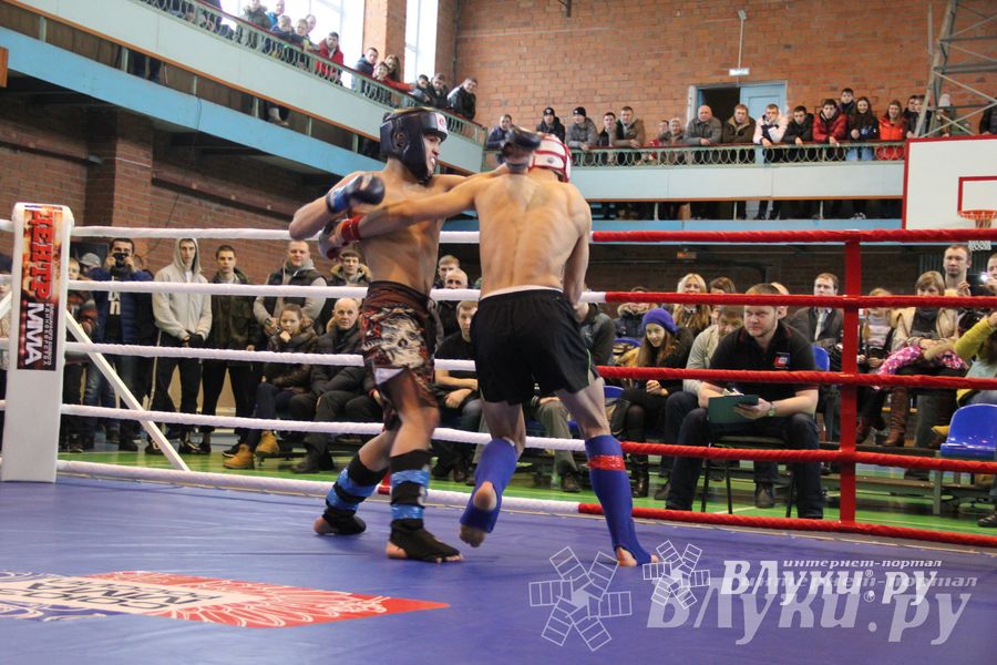 В Великих Луках прошел межрегиональный Открытый Кубок по смешанному боевому единоборству (фото)