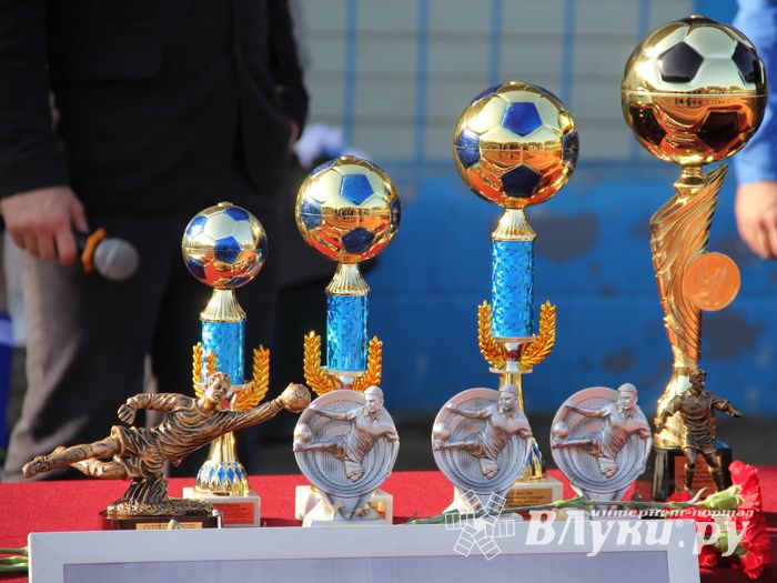 Педагогический лицей стал победителем турнира по футболу памяти М. Хренова (фото)