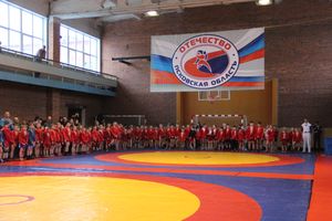 Открытый турнир по самбо «Новогодняя звезда-2019» прошел в Великих Луках (ФОТО)