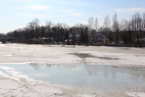 Весенний день