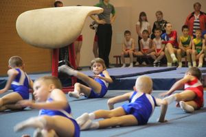 Парад гимнастики