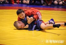 Великолучане стали первыми в общекомандном зачете турнира по самбо «Память» (фото)