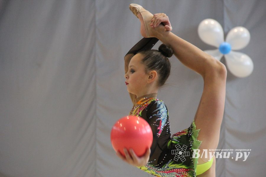 В Великих Луках прошли соревнования на Кубок Псковской области по художественной гимнастике (ФОТО)