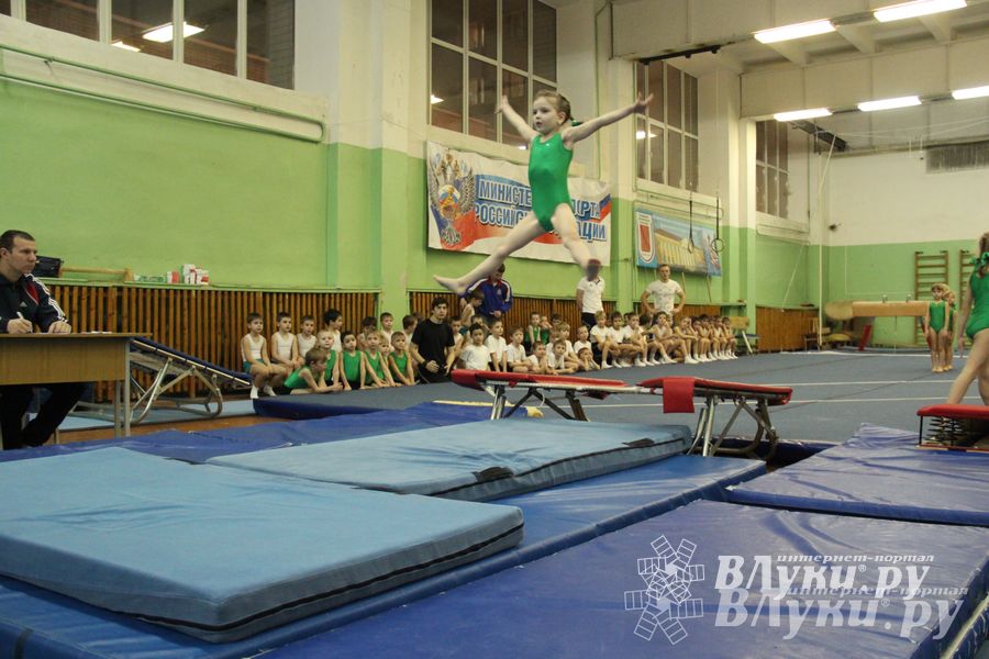 В Великих Луках состоялось Первенство по командной гимнастике (фото)