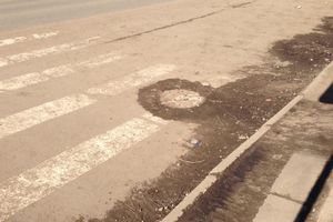 Снег ушел, пыль и грязь вернулись (фото)