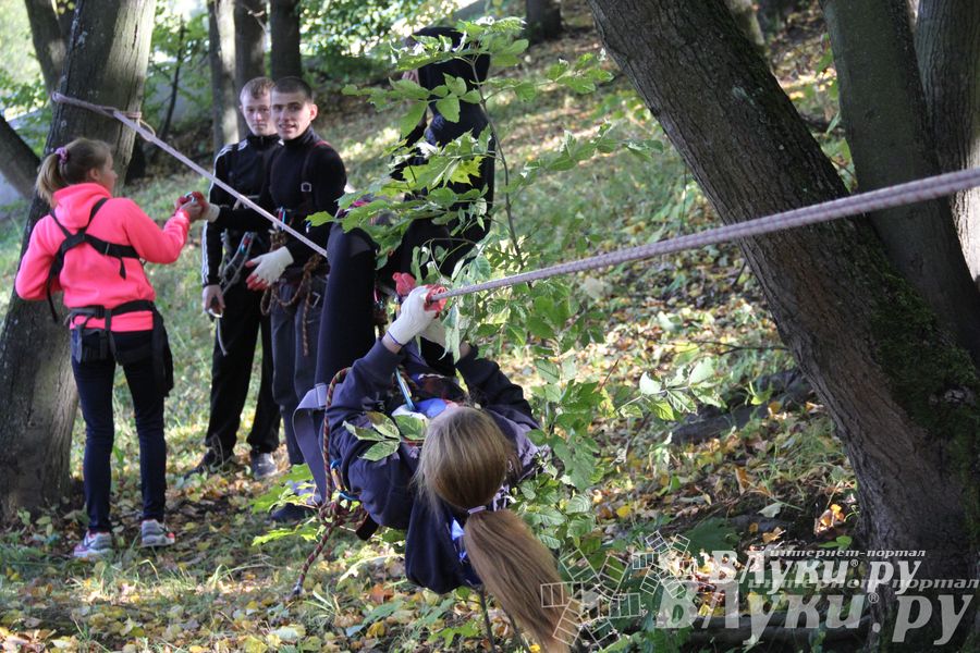 «Кубок первокурсника 2014» 