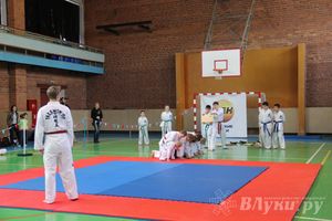В Великих Луках прошло Первенство по тхэквондо (фото)