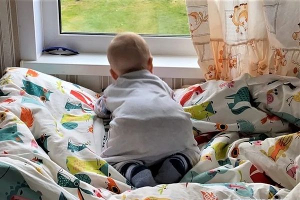 Почти 200 отцов в Псковской области получают пособие по уходу за ребенком