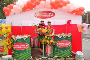 ВЛуки.ру выяснили, какую продукцию «Великолукского мясокомбината» любят покупатели (ФОТО)