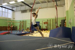 В Великих Луках состоялось Первенство по командной гимнастике (фото)