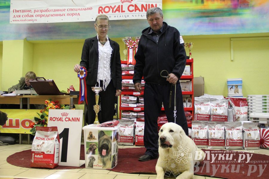 Всероссийская выставка собак «Великие Луки — 2014»
