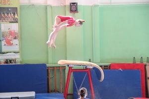 В Великих Луках проходит открытое первенство по спортивной гимнастике (ФОТО)