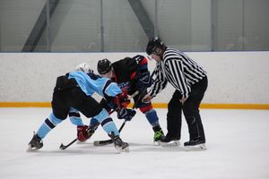 Великолукские хоккеисты в шаге от финала (ФОТО)