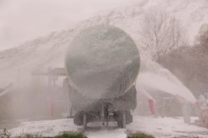 В Великих Луках тушили поезд (ФОТО)