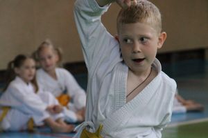 Турнир по каратэ