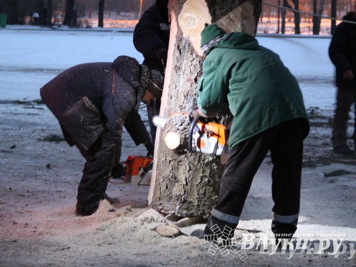 В Великих Луках установили новогоднюю елку (фото)