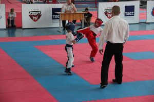 В Великих Луках прошел Кубок области по кикбоксингу (ФОТО)