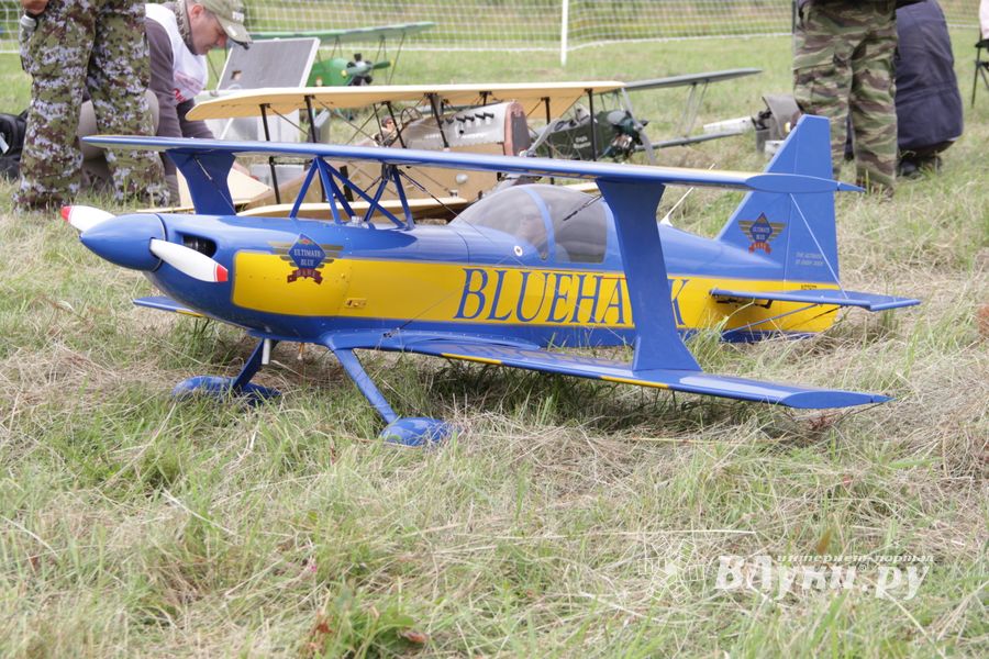 Чемпионат России по авиамодельному спорту в Великих Луках (ФОТО)