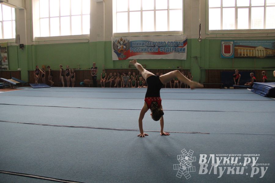 В Великих Луках состоялось Первенство по командной гимнастике (фото)