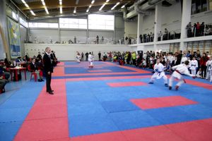 Великолукские спортсмены успешно выступили на всероссийских соревнованиях по каратэ WKF «Петербургская весна-2015» (фото)