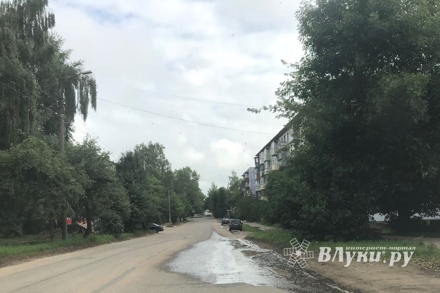 Предприятие в Великих Луках сливает на дорогу (ФОТО)