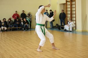 В Великих Луках прошло Первенство города по ВБЕ «КОБУДО» (ФОТО)