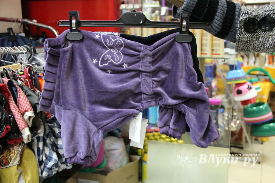 «Zooбастики»: подарите праздник своим любимцам! (ФОТО+ВИДЕО)