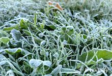 Сегодня великолучанам обещают облачный день