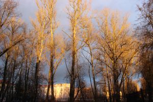 ©ВЛуки.ру