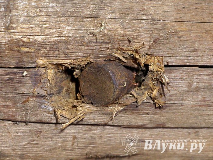 Великолучанин обнаружил боеприпас к авиационной пушке (ФОТО)