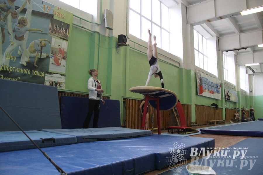 В Великих Луках прошел турнир по спортивной гимнастике (фото)