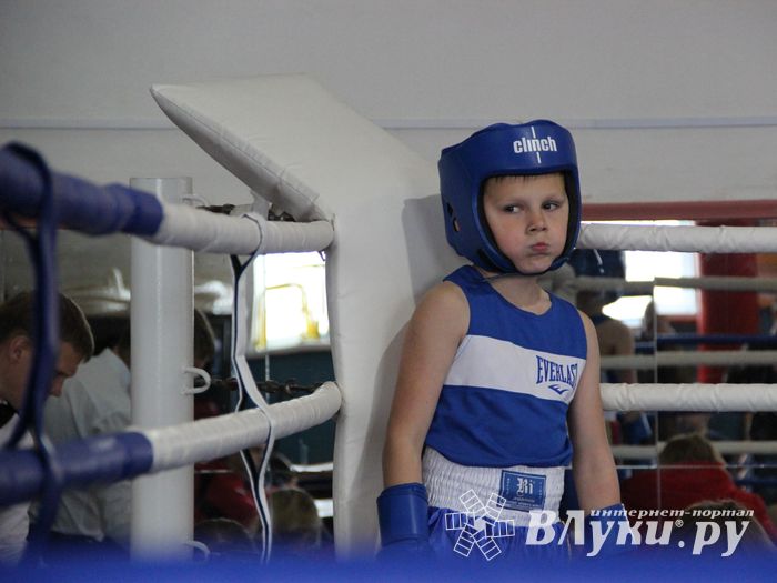 Юные великолучане выявили сильнейших боксёров (ФОТО)
