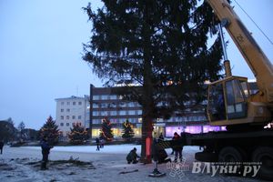 В Великих Луках установили новогоднюю елку (фото)