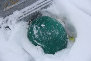 Никто не забыт: в Великих Луках благоустроили могилу неизвестного солдата (ФОТО)