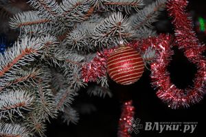 В Великих Луках состоялась презентационная игра «Дозор» (фото)