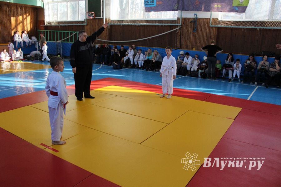 Юные великолучане приняли участие в турнире по дзюдо «Крепыш» (ФОТО)