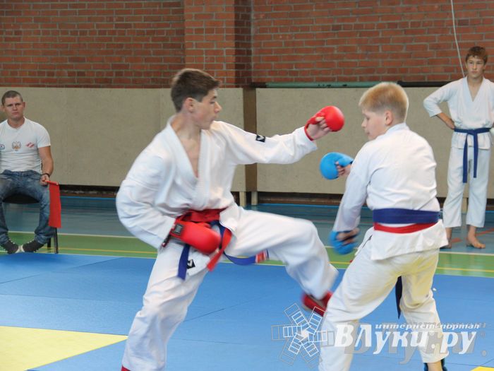 Турнир по каратэ «Неприкосновенный запас — дети Отчизны»