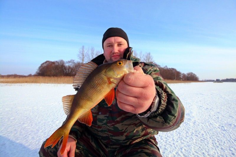 Великолукские рыбаки победили в фестивале по ловле рыбы на блесну (фото)