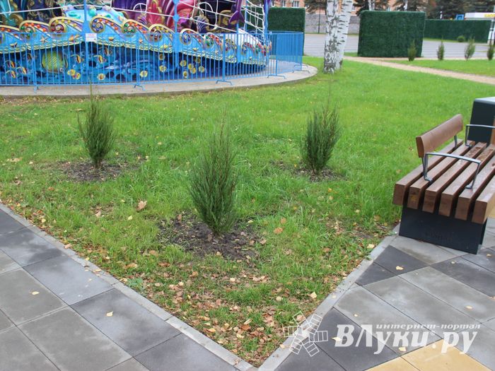 Теперь и в Великих Луках есть что потереть на удачу (ФОТО)