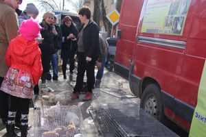 Универсальная торговая ярмарка «Весна-2015» прошла в Великих Луках (фото)