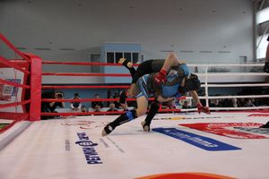 Открытый кубок по смешанному боевому единоборству ММА прошел в Великих Луках (ФОТО)