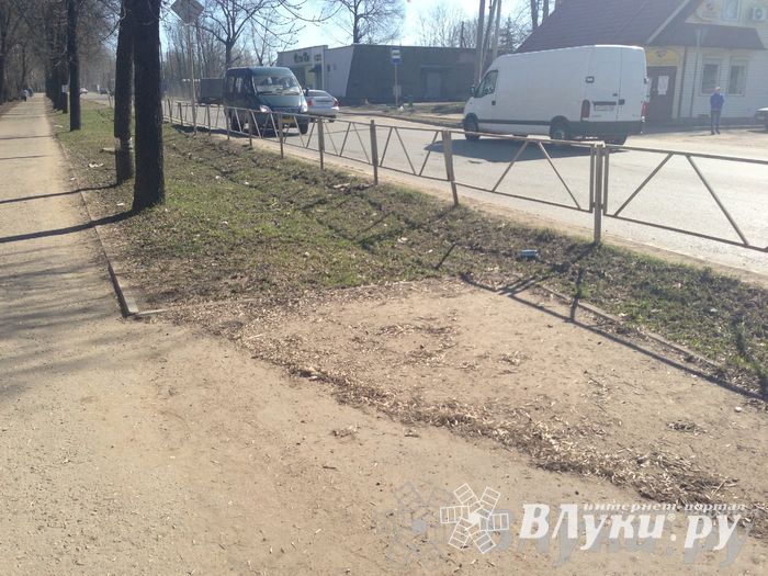 Весне дорогу!