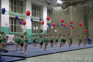 «Парад гимнастики» прошел в Великих Луках (фото)