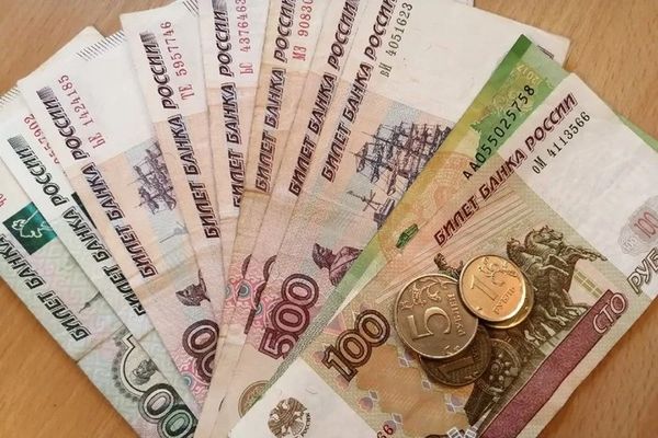 Жительница Псковской области обманом получила кредит