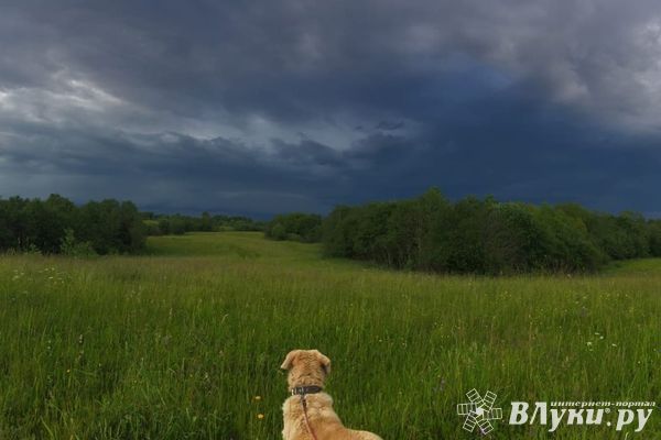 Штормовое предупреждение!
